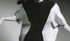 麻豆 杜鹃,探寻自然之美与生命奇迹